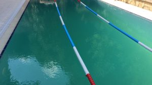 havuz suyu neden yeşerir